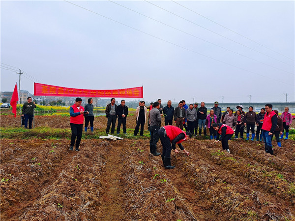 湖南茶陵煙草深化黨業(yè)融合 寫好煙農(nóng)服務“三篇文章”