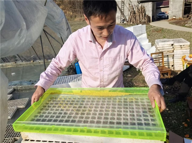 搶抓時(shí)令促生產(chǎn) 夯實(shí)產(chǎn)業(yè)助振興