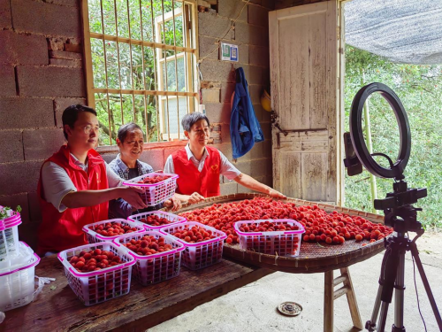 浙江德清：向“數(shù)”而行 小終端也有大作為