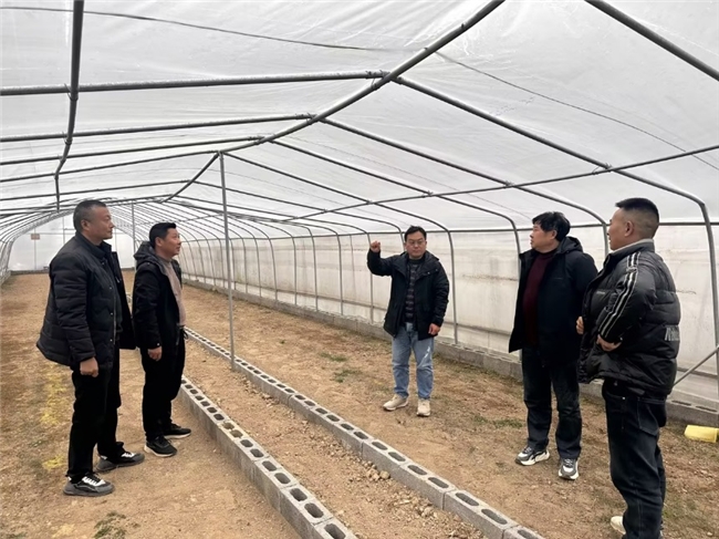 湖北長陽：育苗孕希望 新年添動能