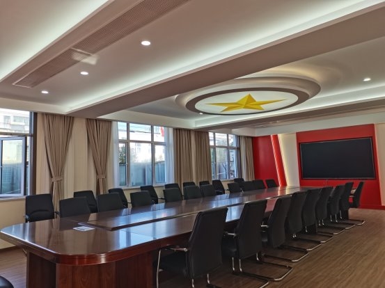 “頭雁”領航激活力 黨旗飄揚促發(fā)展