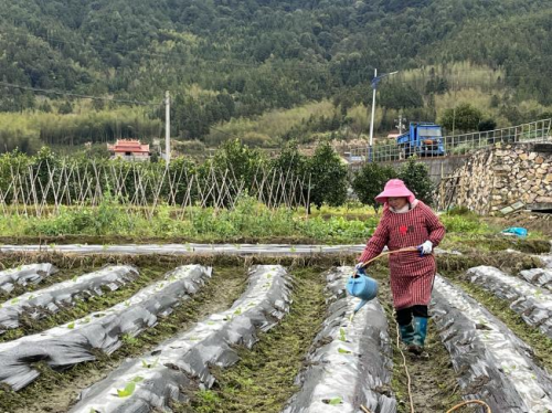 “她”力量：我生來就是高山而非溪流