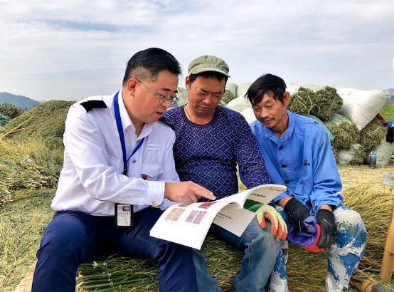 陽春三月 這里“鋒”景獨好