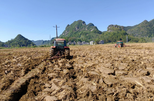 百色煙草：綠色生產(chǎn)奏響冬翻序曲，糧煙互促共繪振興藍圖
