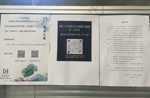 湖北黃梅：清風(fēng)拂廉韻，奮進(jìn)綻芳華