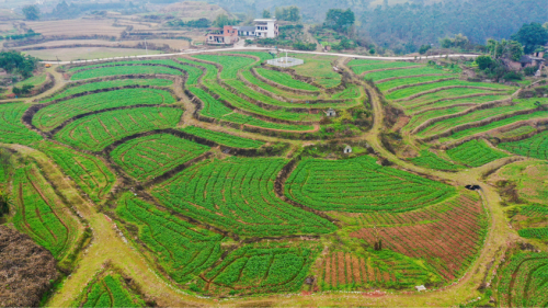 “云霧花澗·萬畝梯田”品牌推介會暨鄉(xiāng)村振興主題交流會成功舉辦