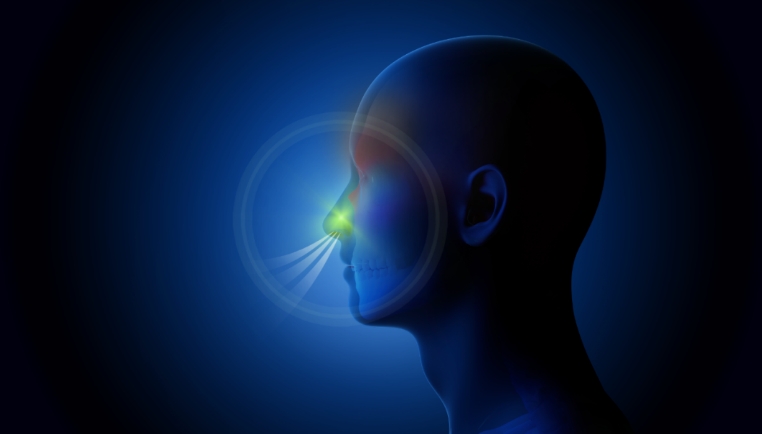 清華大學(xué)與北京同仁醫(yī)院團(tuán)隊(duì)發(fā)表研究 揭示慢性鼻病復(fù)發(fā)關(guān)鍵機(jī)制