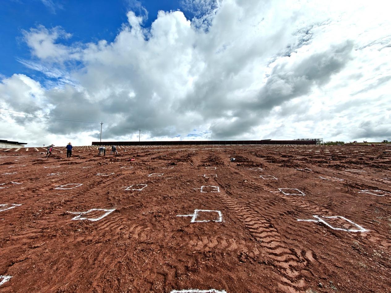 IMG20250725104633 IMG20250725104633