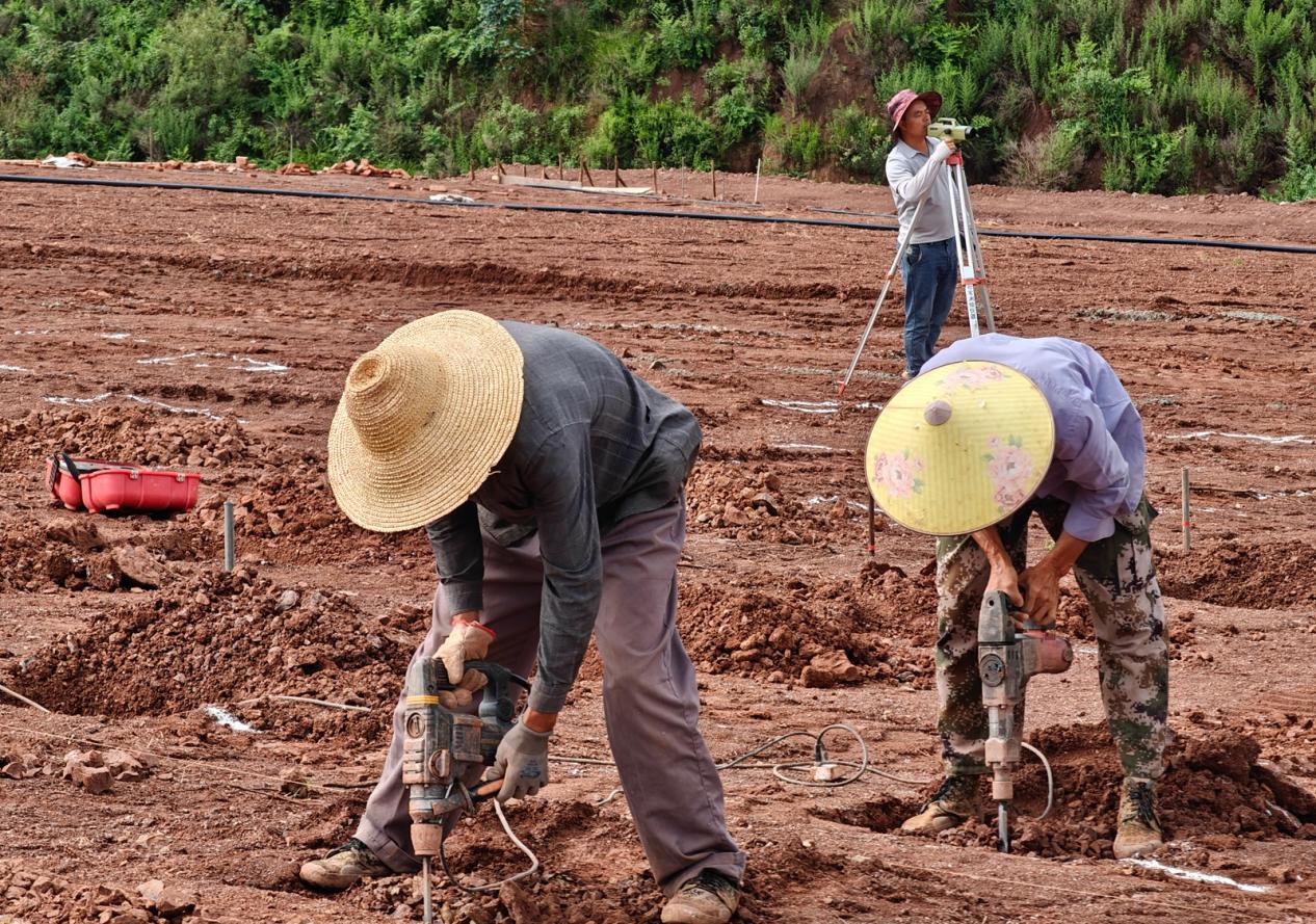 IMG20250725104845 IMG20250725104845