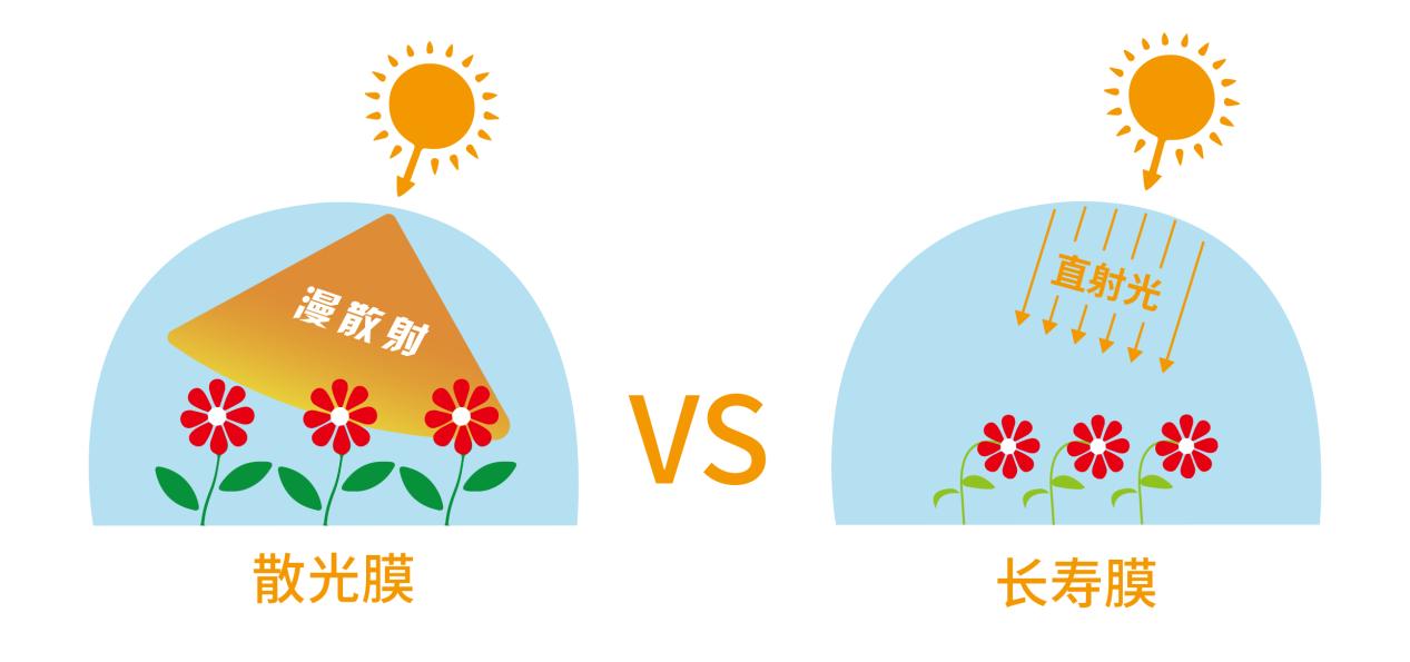 082503.jpg 082503.jpg