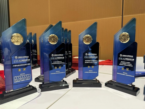 海智在線榮獲“2025人工智能應(yīng)用大賽”金獎，是唯一獲此殊榮的民營公司
