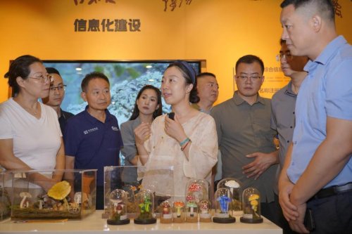 人工培育靈芝孢子粉專贈暨科普科研啟動(dòng)儀式舉行