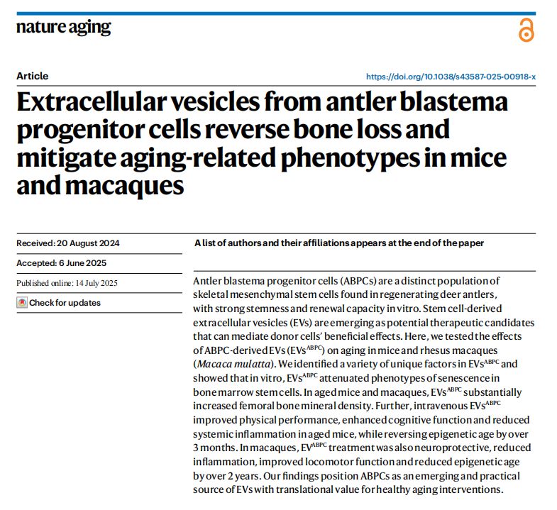 頂刊研究+道地藥材，吉林敖東安神補腦液 破解抗衰密碼