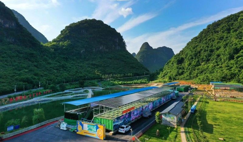 “一片葉子富一方百姓” 昭平茶產(chǎn)業(yè)鋪就鄉(xiāng)村振興路