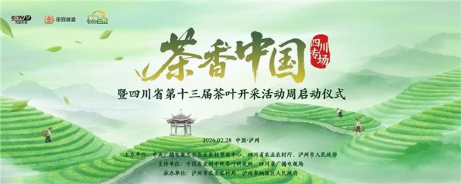《茶香中國》正式啟動(dòng) 首站帶大家到四川解鎖今春第一口鮮